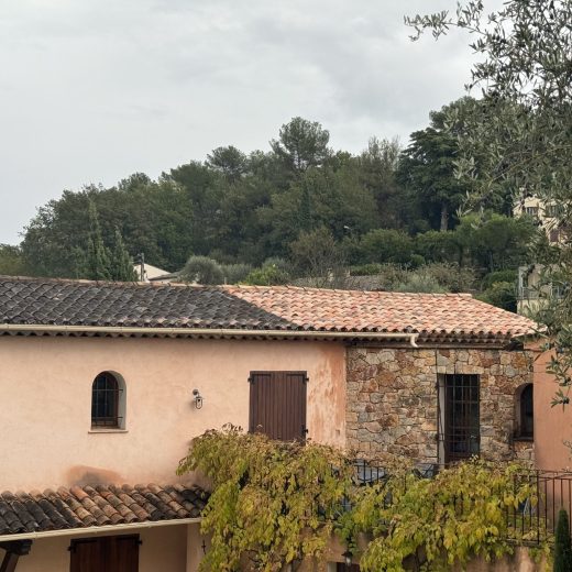 Nettoyage de façade à la vapeur dans les Alpes-Maritimes 06