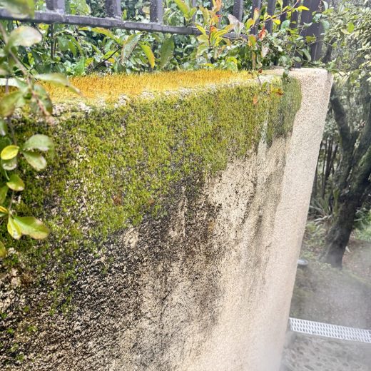 Démoussage de façade à la vapeur dans les Alpes-Maritimes 06