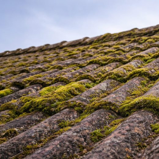 Démoussage de toiture à la vapeur dans les Alpes-Maritimes 06