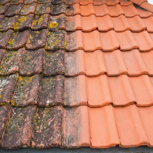 Nettoyage de toiture à la vapeur dans les Alpes-Maritimes (06)